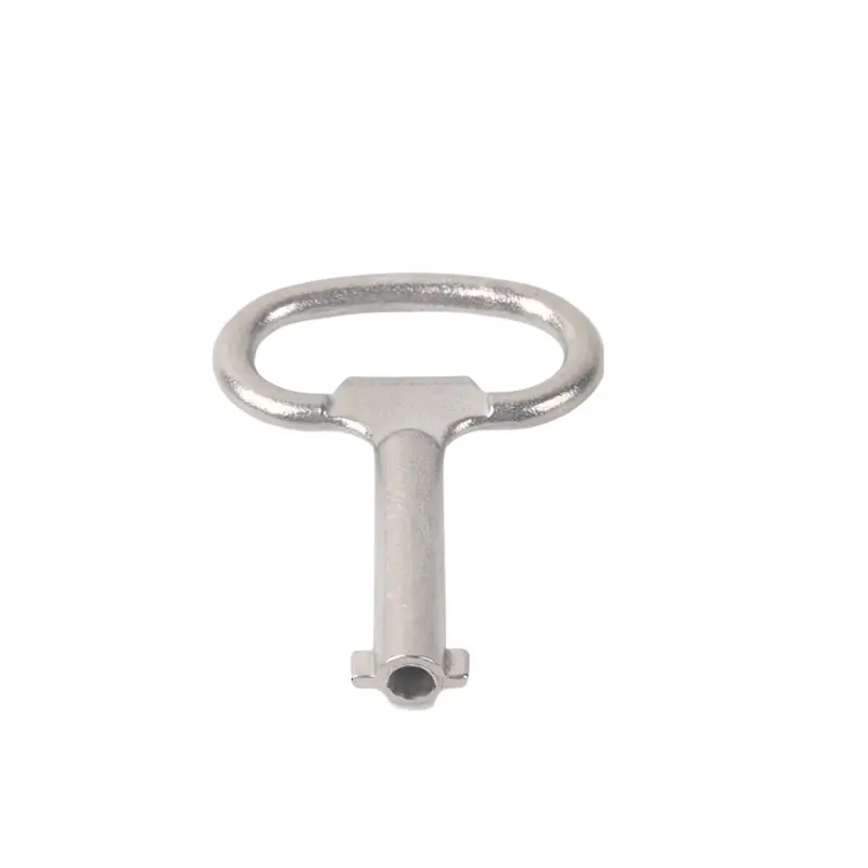 துருப்பிடிக்காத எஃகு இரட்டை பிட் விசை